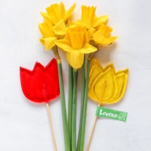 Skirtingų formų ledinukai